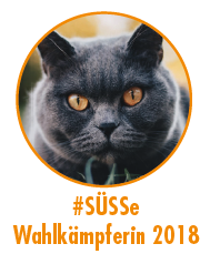 LTWHE18 Wahlkaempferin.png