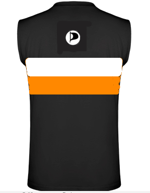 Datei:Tshirt doppelring back.png