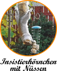 Insistierhoernchen mit nuessen.png