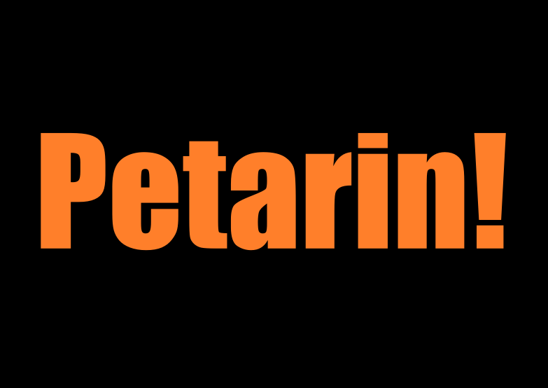 PG LTW 2010 Plakatbeispiel 20100113b.png