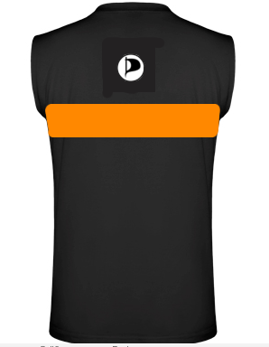 Datei:Tshirt ring back.png