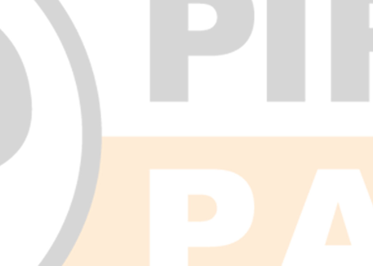 Flyer (nds)A7 Hintergrund.jpg