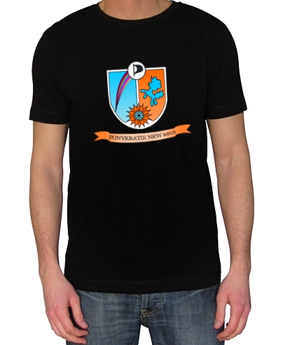 Tortie pony shirt banner.jpg