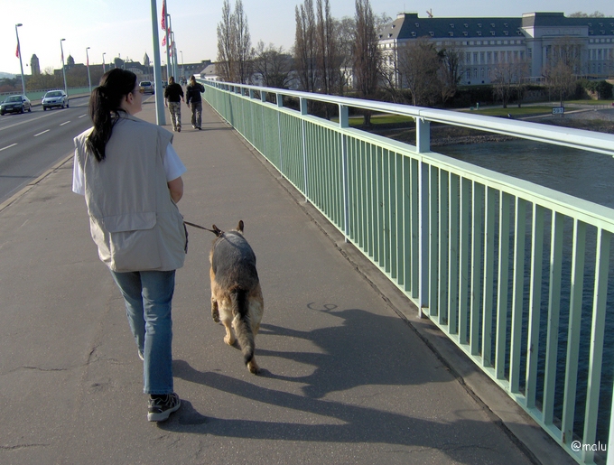 Datei:Benutzer Mariesa 002.jpg