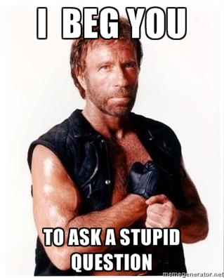 There is no stupid Question.jpg