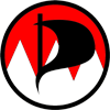 Piratenpartei Mittelfranken Logo.png