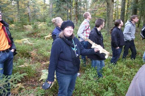 Nordschwarzwald Kaltenbronn 0377.JPG