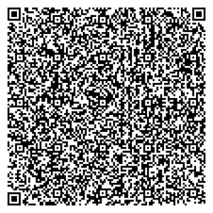 Vortra Jugendschutz 21.02.2013.svg