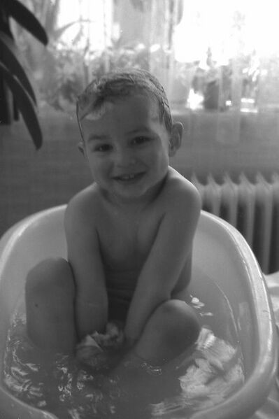 Datei:Hase jünger.jpg