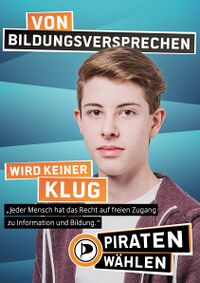 HH PP-Bund-Plakate-BTW2013-v15.jpg