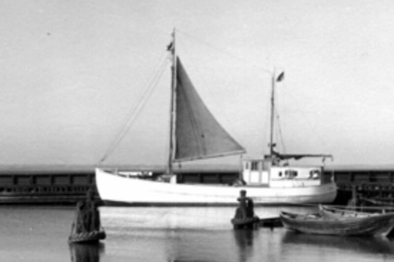 Datei:Bertha Fle.jpg