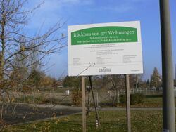 Reick koitsch dd.jpg