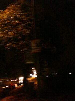 Plakatierung PB 03.jpg