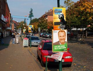 Vorschau street dog 2014 02 09.jpg