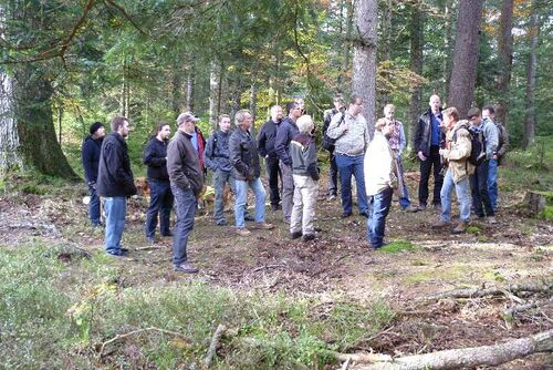 Nordschwarzwald Kaltenbronn 0160.JPG