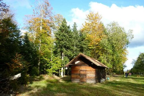 Nordschwarzwald Kaltenbronn 0391.JPG