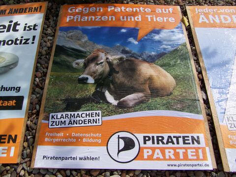 Hünfeld 20090822 Plakate kleistern 007.JPG