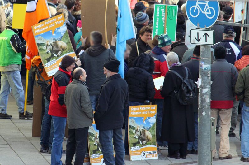 Datei:Demo patente 3.3.2010 6.jpg