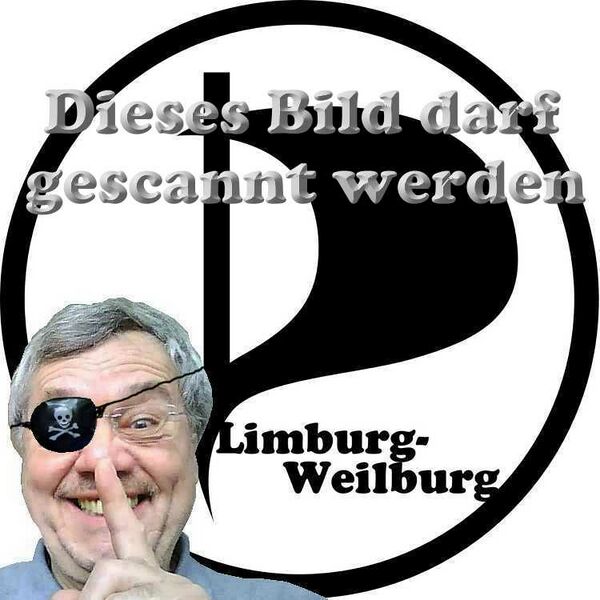 Datei:Logo piratenberni.jpg