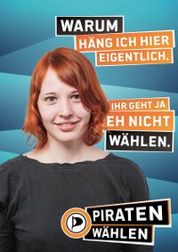 HH PP-Bund-Plakate-BTW2013-v10.jpg