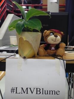 #LMVBlume