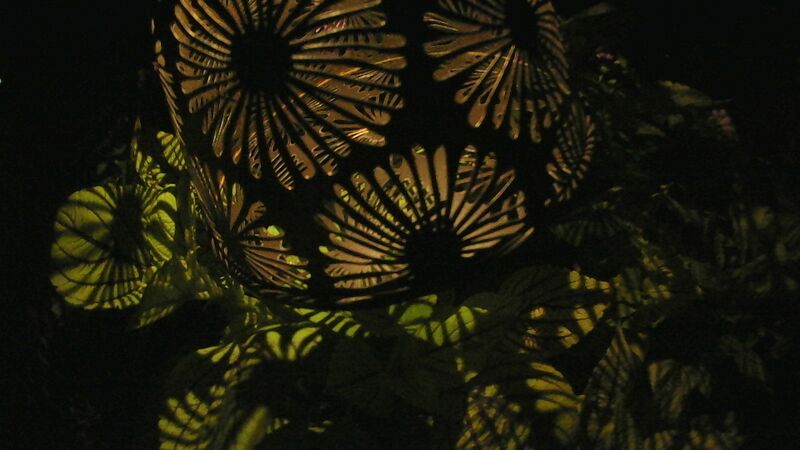 Datei:PICT0008 (2).jpg