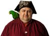Piratenpapagei pixelreduziert 2.JPG
