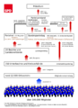 Organisationsstruktur SPD.svg