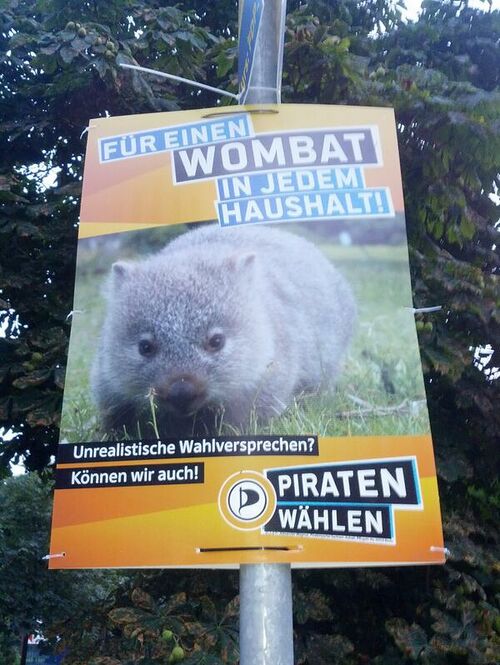 Wombat plakat.jpg