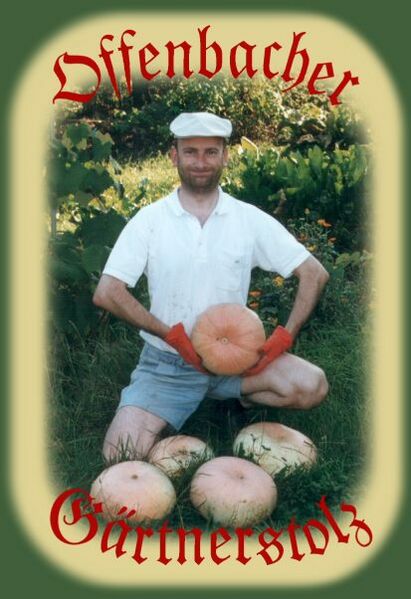 Datei:Pirat Helge.jpg