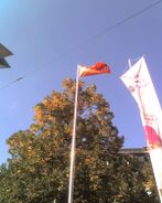 090912Flagge DA.jpg