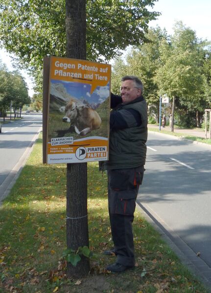 Datei:Sandstr.Aral4.jpg