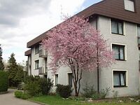 Bpt11 hotel hirsch.jpg