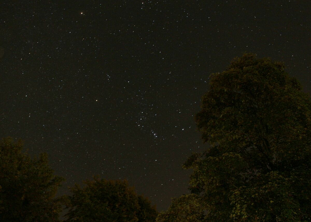 Orion East 04102022.JPG