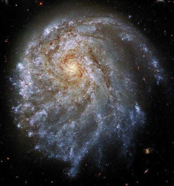 Datei:GalaxyNGC2276hubble.jpg