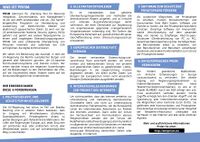 ANTI PRISM Fyler DE back.jpg