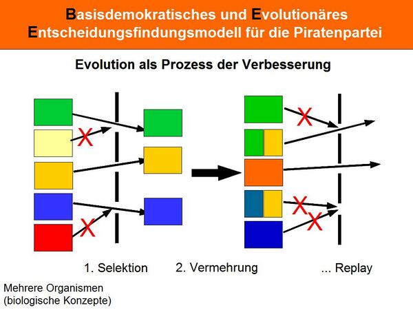 Evolutionäre Entscheidungsfindung 4.jpg