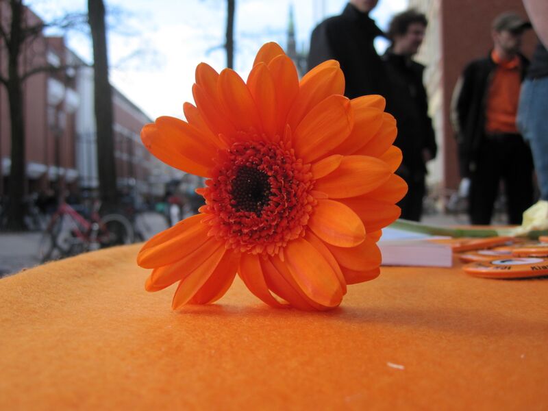 Datei:IMG 0282.jpg