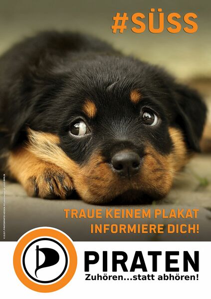 Datei:Hund-1.jpg